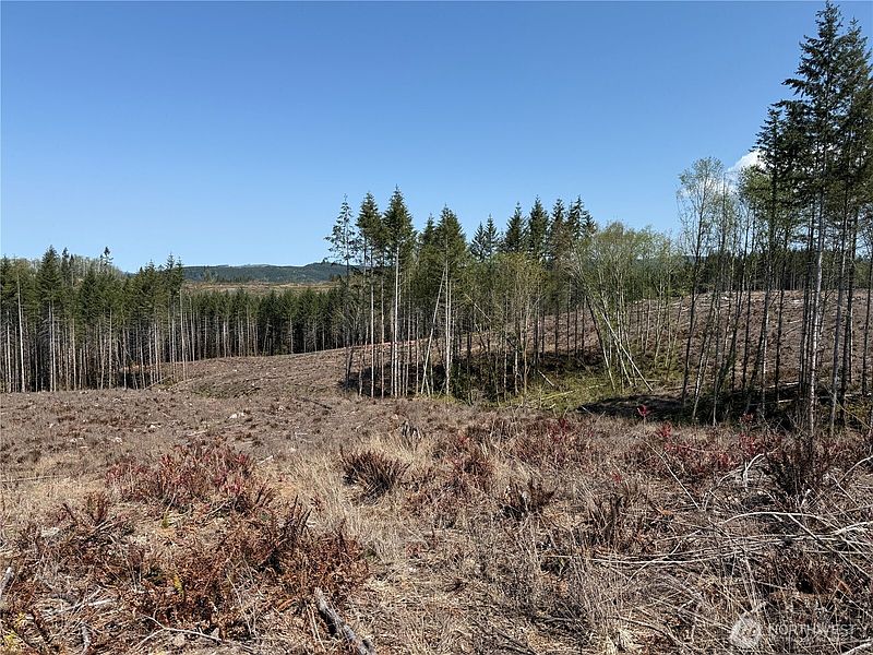 5th image of 3 XX Centralia Alpha Road