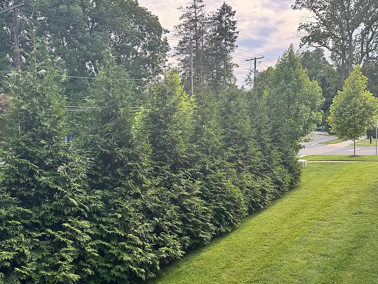 9501 Wildoak Dr — Photo 15