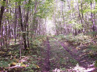 Green Creek Ext, Cheboygan, MI 49721