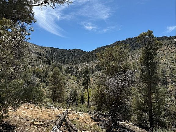 2nd image of 310-040 Pine Creek Valley Rd #17