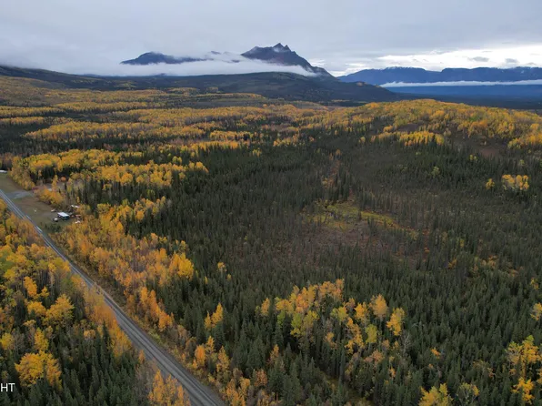 L1-5 McCarthy Rd, Copper Center, AK 99573