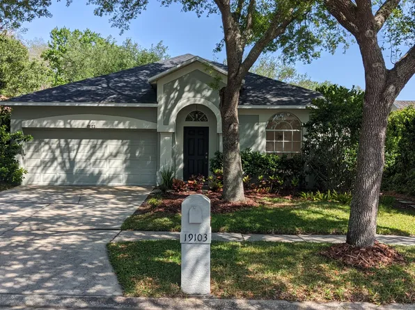 19103 Chemille Dr, Lutz, FL 33558