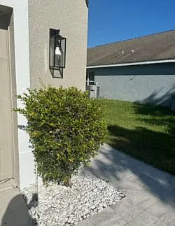 161 Southampton Dr #B — Photo 6