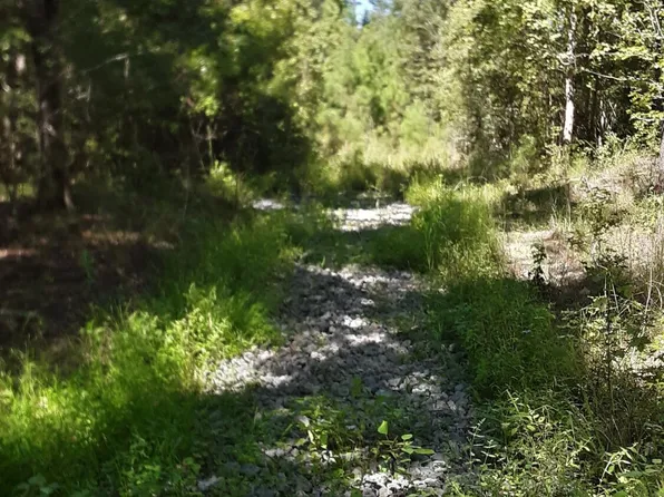 0 Spelltown Rd, Cottageville, SC 29435