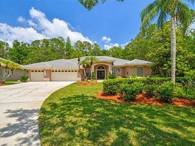 1877 Muirfield Way, Oldsmar, FL, 34677