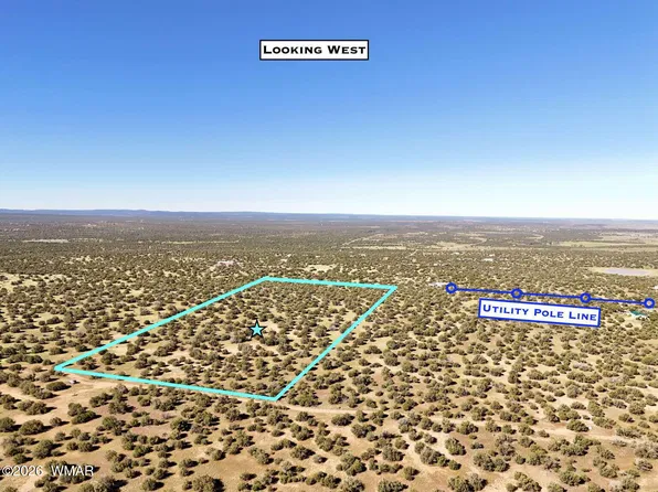0 Lake Ridge Rd, Show Low, AZ 85901