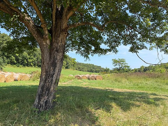 3rd image of 1189 County Road 428