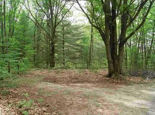 45 Vl Rd S, Cadillac, MI 49601