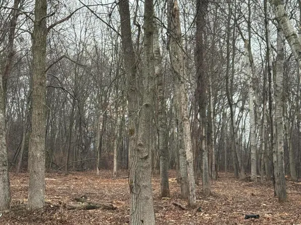 S Main St, Au Gres, MI 48703