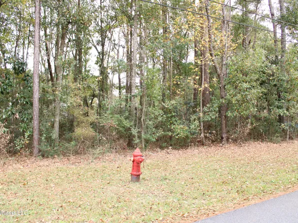 Roxane St Lot 58, Gautier, MS 39553
