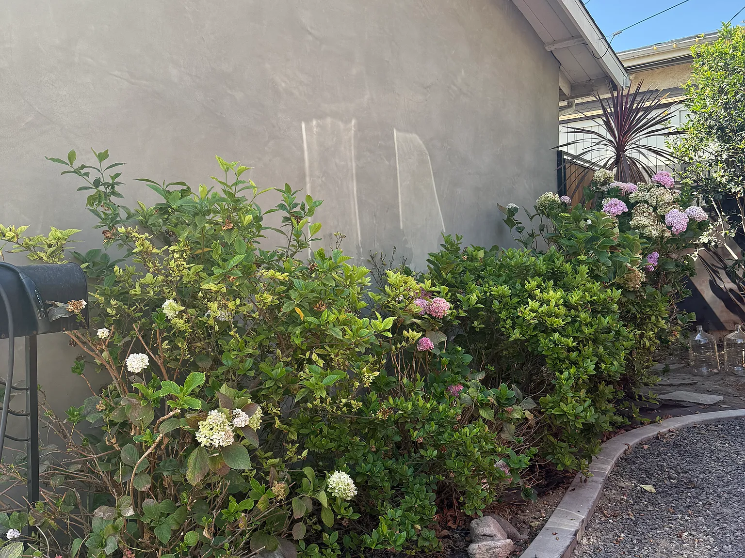 4764 Cleland Ave — Photo 2