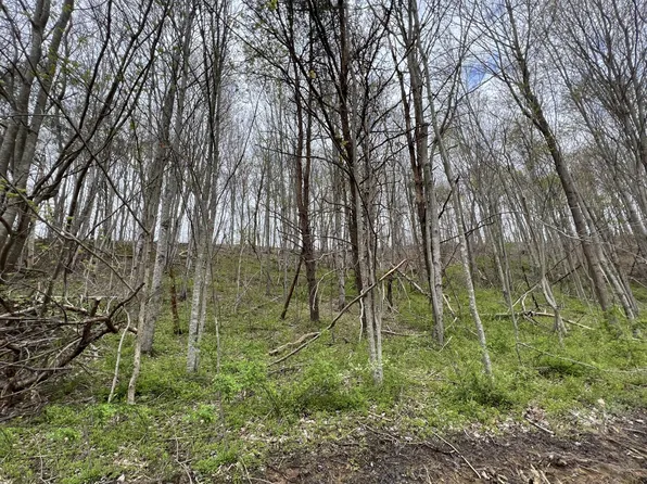 20 Laredo Dr, London, KY 40741