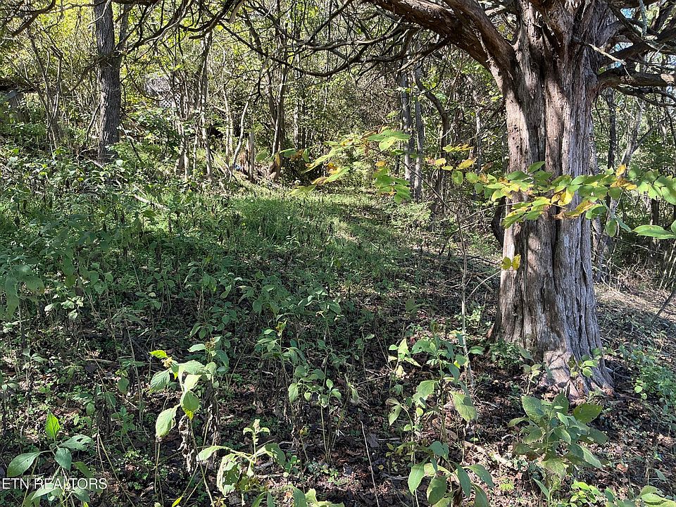 1st image of Moore Ln