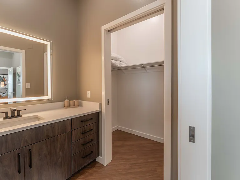 Bathroom Vanity and Closet in Bedroom 2 Bathroom Vanity and Closet in Bedroom 2