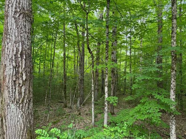 1.1 Dutch Hill Road Spur #1, Cincinnatus, NY 13040