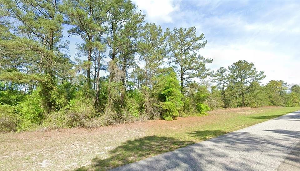 2nd image of 1495 E CITRUS SPRINGS BOULEVARD LOT 4