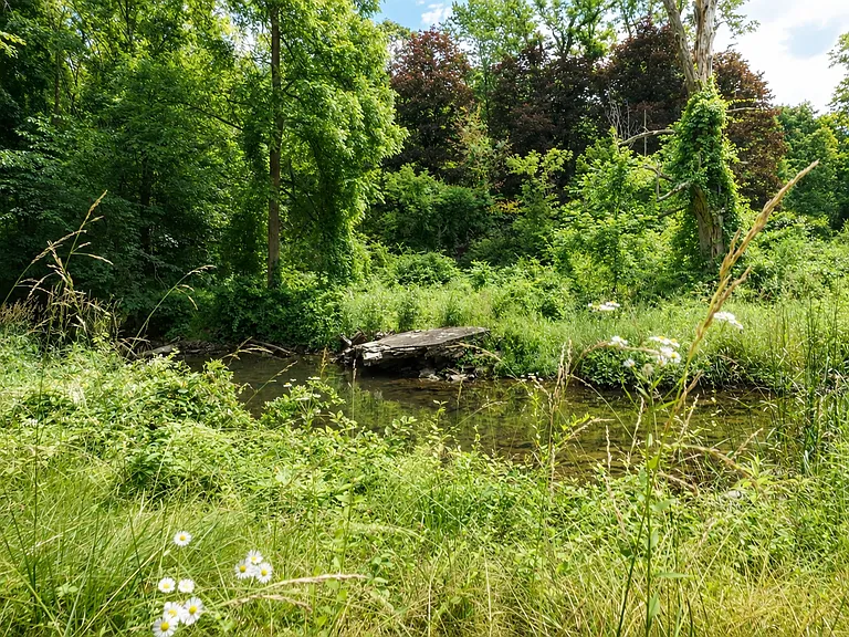 Webatuck Creek
