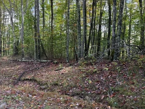 Lot 44A Buckeye Ridge Road, Beech Mountain, NC 28604
