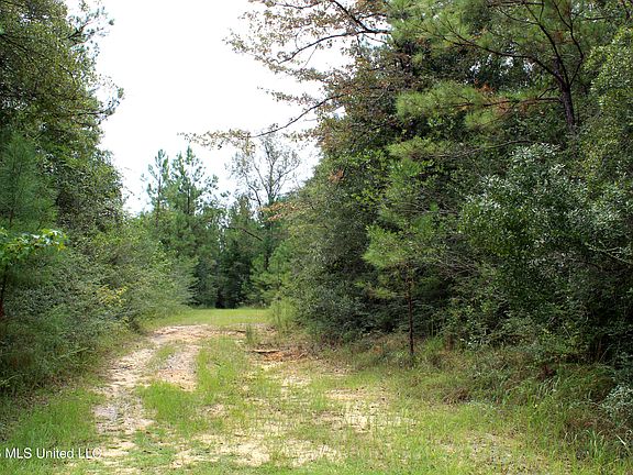 3rd image of John Kelly Rd