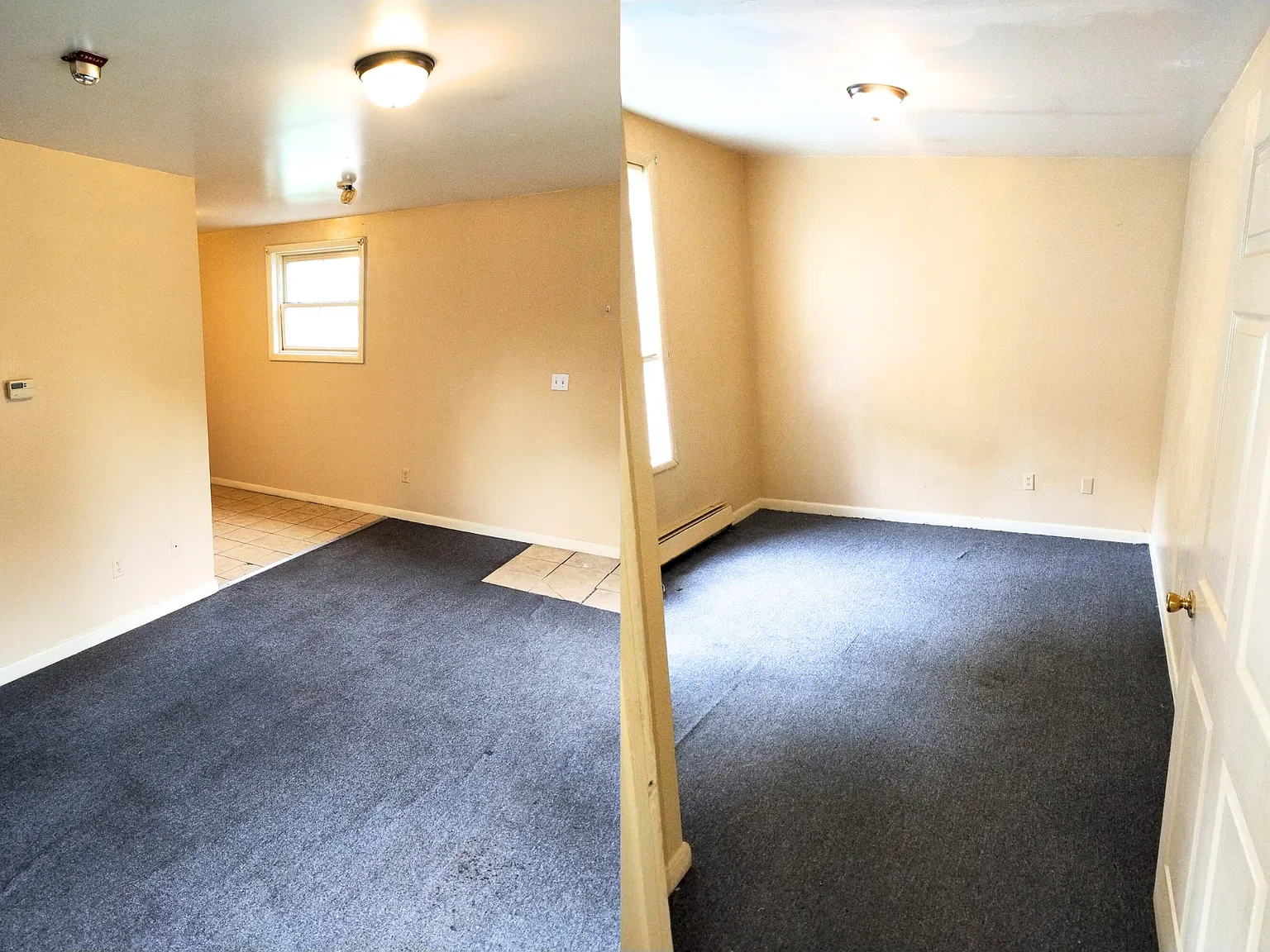 1 bed, 650 sqft, $850 — Photo 2