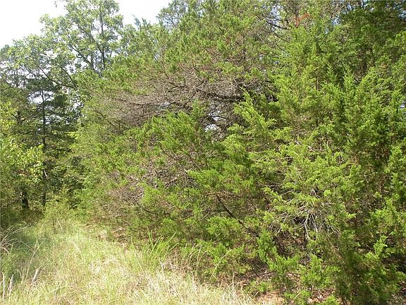 5th image of 93 Table Rock Dr