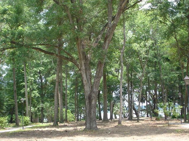 2nd image of 46 Wrights Point Cir