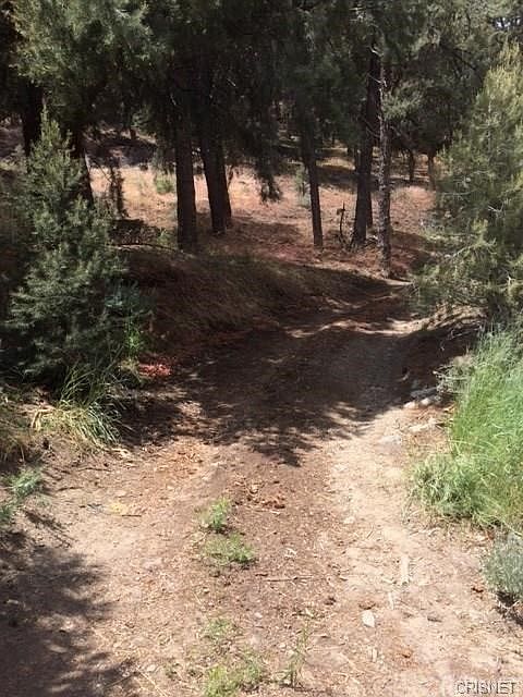 2nd image of 14732 Pinehurst Dr