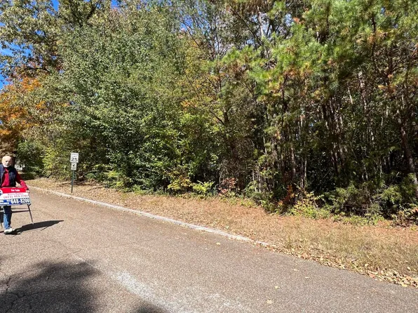 0 Delashmitt Rd, Hixson, TN 37343