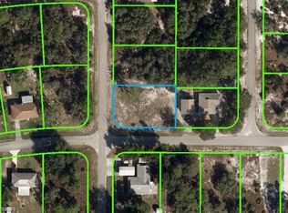 938 Amaranth St, Lake Placid, FL 33852