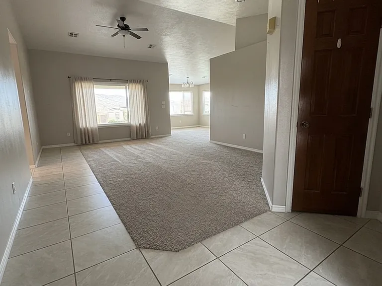 Entry and great room