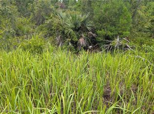 2939 W Seville Dr, Avon Park, FL 33825