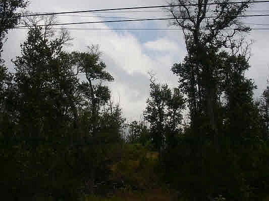 2nd image of Aloha Blvd Lot 33