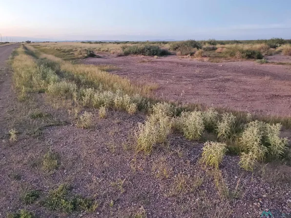 Medano Rd SE, Deming, NM 88030