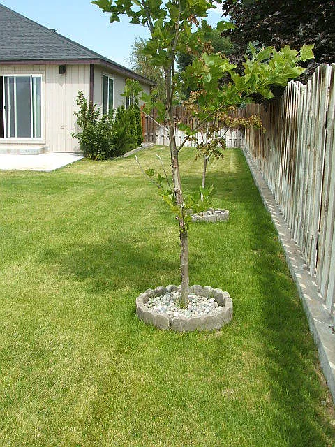 Home for Rent With Water Included!! — Photo 3