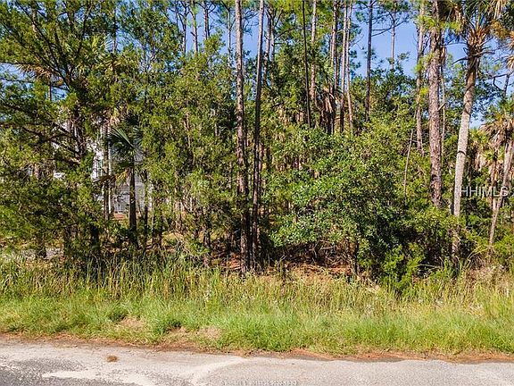 4th image of 13 Palmetto Point Dr