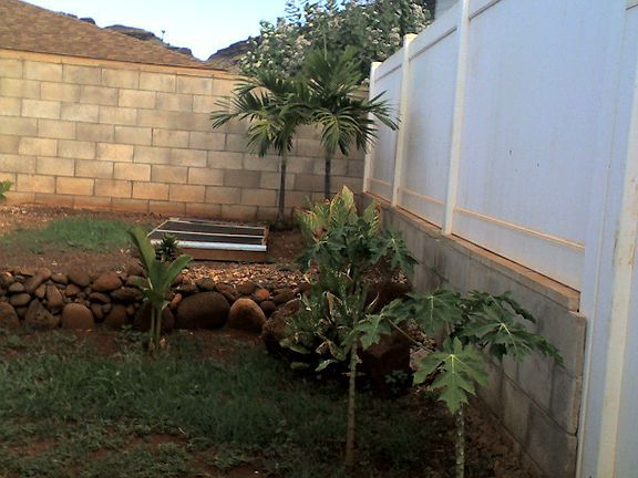 Back Right side of Yard