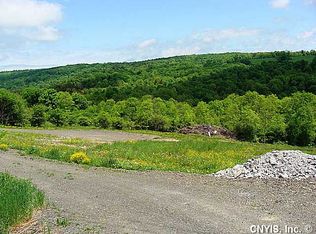 3616 Cheningo Solon Pond Rd, Cincinnatus, NY 13040