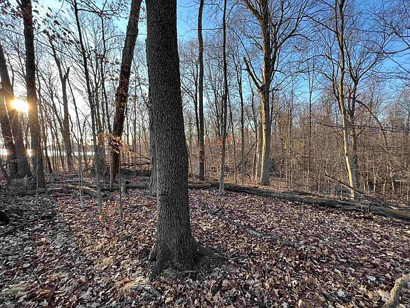 4th image of 10695 Crooked Stick Run