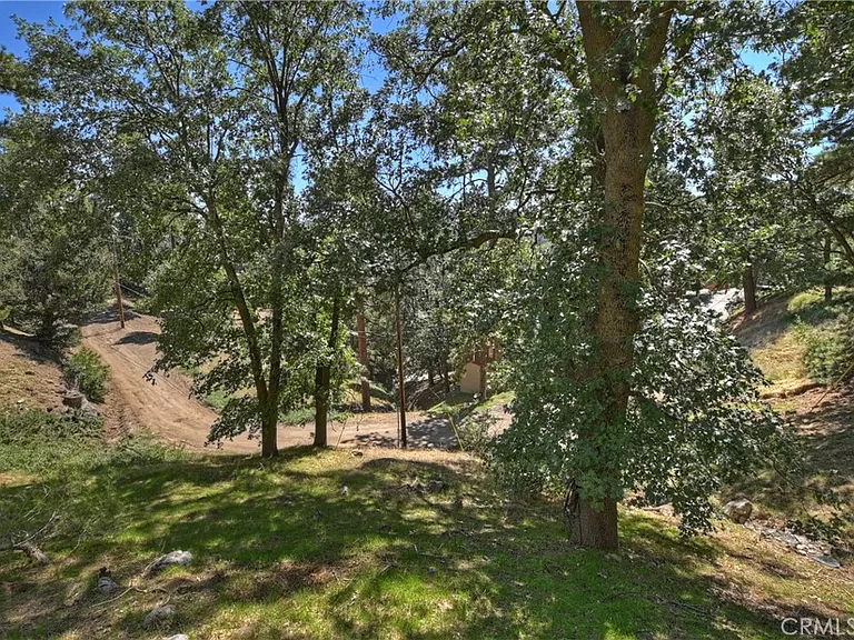 21510 Crest Forest Dr — Photo 32