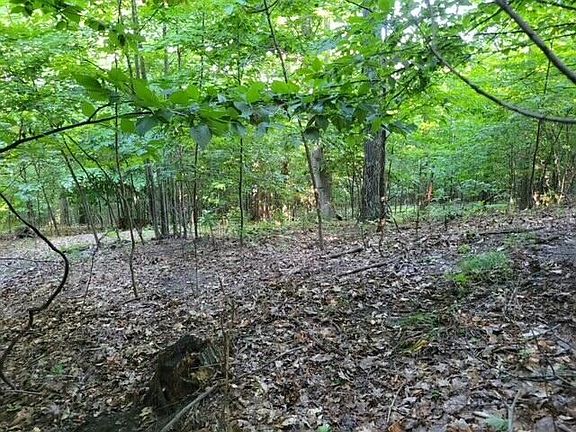 5th image of LOT Silver Vista Ln Lot E