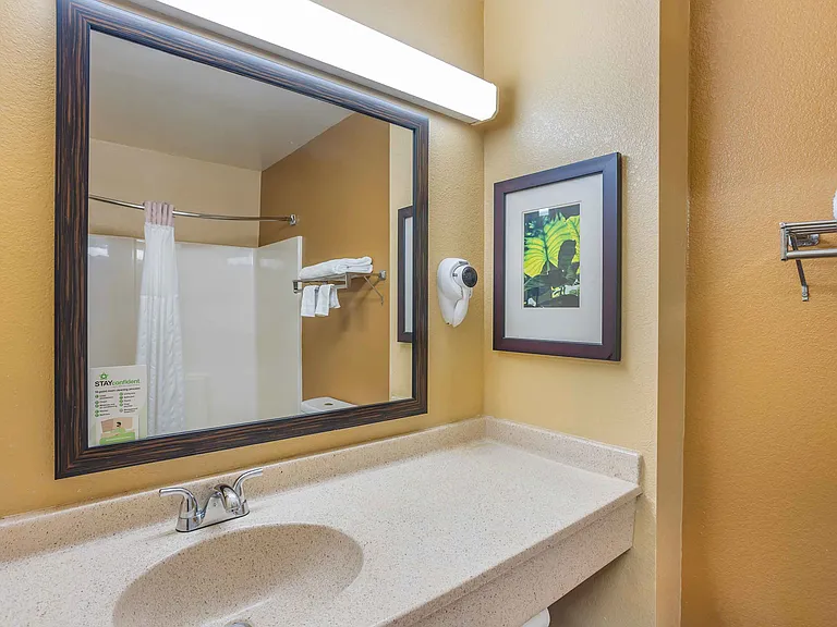 Studio Suite - 2 Full Beds