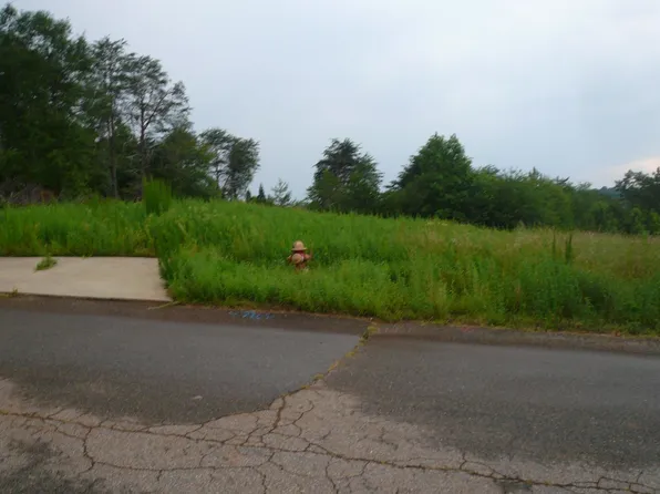 423 N Beryl Ln, Chesnee, SC 29323