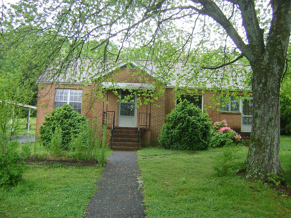 Beautiful Mature Trees