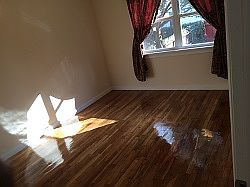 5th image of 16916 Linden Blvd