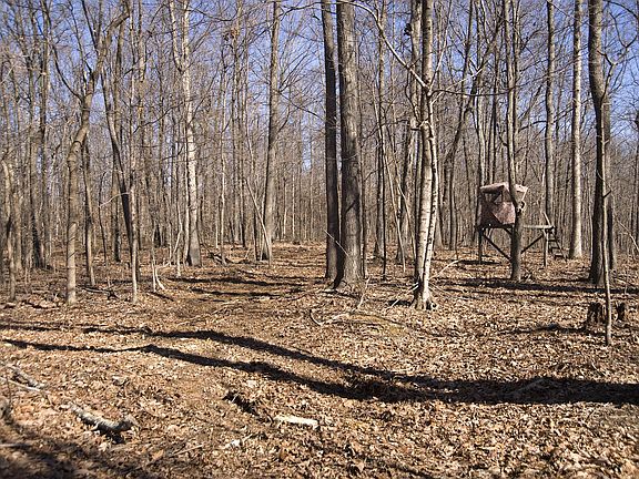4th image of 0 Straight Creek Rd