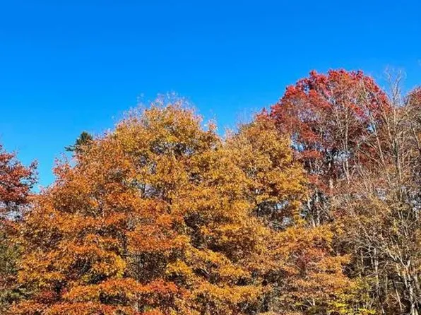 51 Timber Ridge Drive, Cashiers, NC 28717