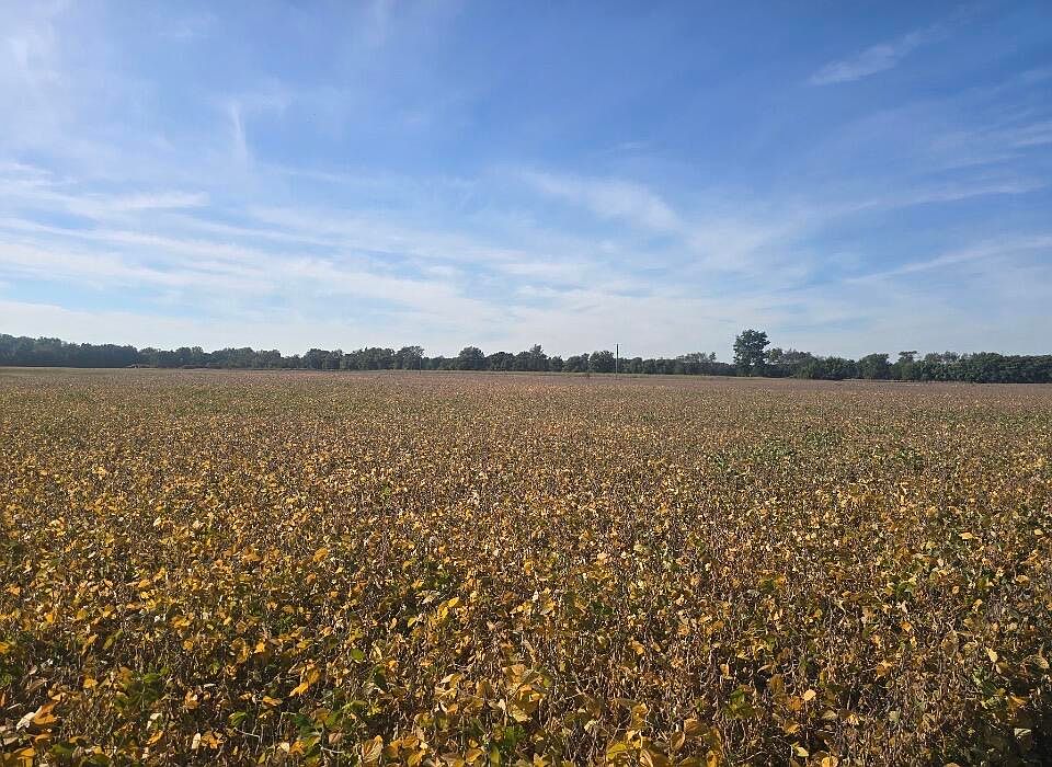 1st image of Marshall Rd