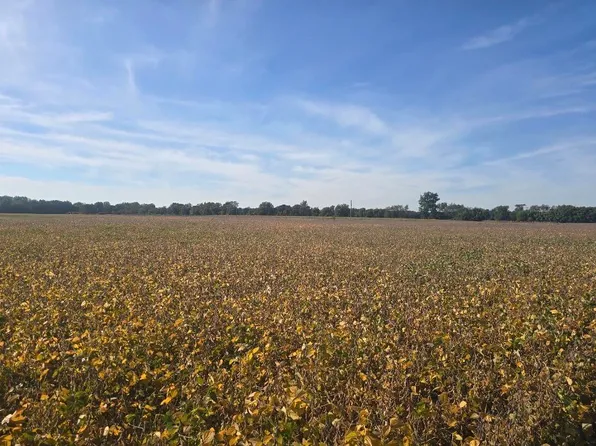 Marshall Rd, Coldwater, MI 49036