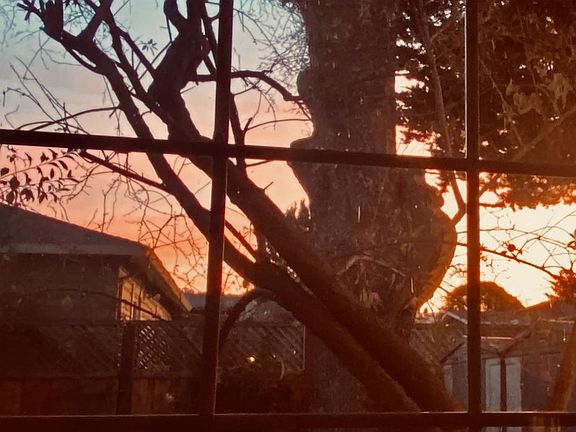 Dawn Both Bedroom Windows