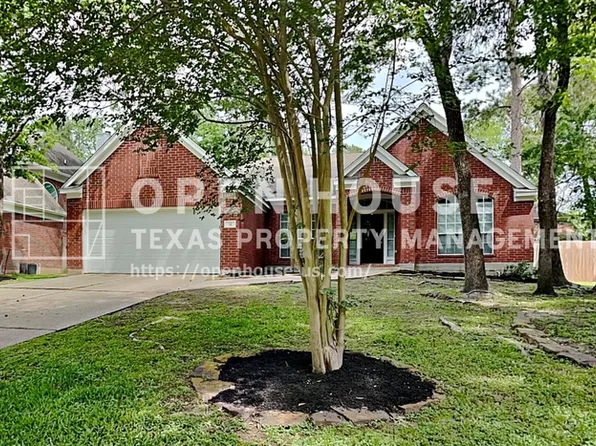 18 Vista Mill Pl, Spring, TX 77382